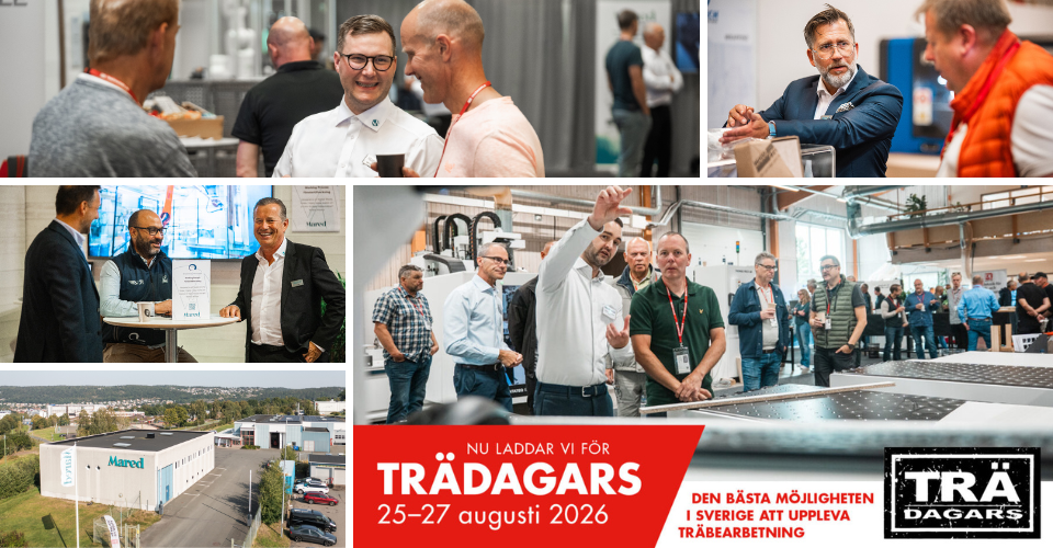 Bildkollage med bilder från Trädagars 2025